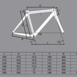 Carrera Veleno TS Custom Racefiets -Cinelli Winkel CC219B64B 91E2 42D2 B930 B5D48B451A80