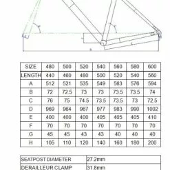 Massini Sinergy Race Frameset -Cinelli Winkel CD30A3530 F850 41CF 8CAC 01B9ADC6EF04