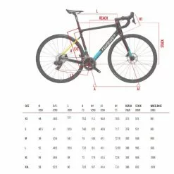 Wilier Garda Ultegra Disc -Cinelli Winkel e206ud73g35 geo