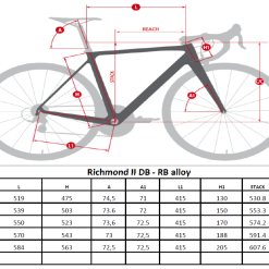 Massini Richmond II Frameset -Cinelli Winkel georichmondii 2