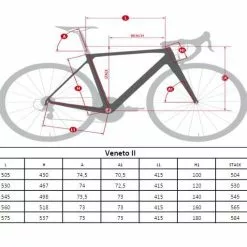 Massini Veneto II Carbon Disc Frameset -Cinelli Winkel massinivenetoii geo 1