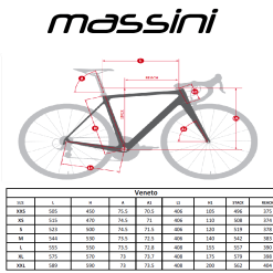 Massini Veneto Carbon Disc Custom Racefiets -Cinelli Winkel venetogeometrie