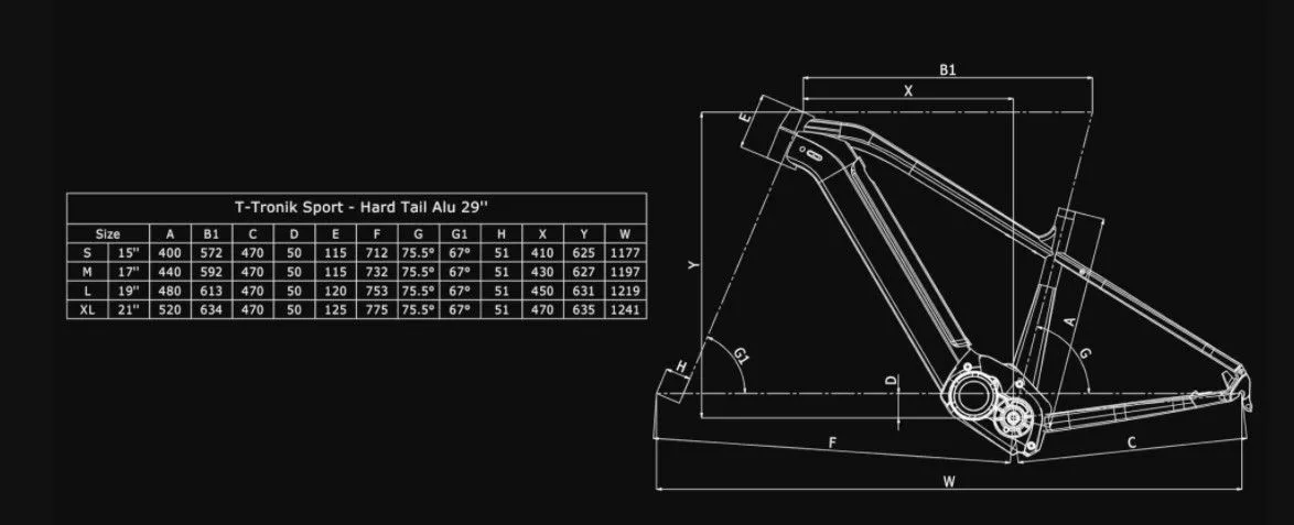 Bianchi T-Tronik Sport 9.1 SX Eagle 4 Bianchi T-Tronik Sport 9.1 SX Eagle - Image 2