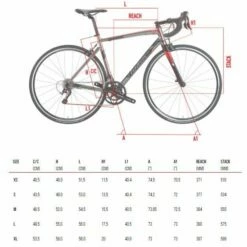 Wilier Montegrappa Tiagra-Mat Grijs-L -Cinelli Winkel 7061259550787 medium geo